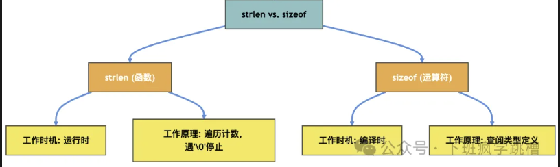 1 成员变量 | CPP Notes